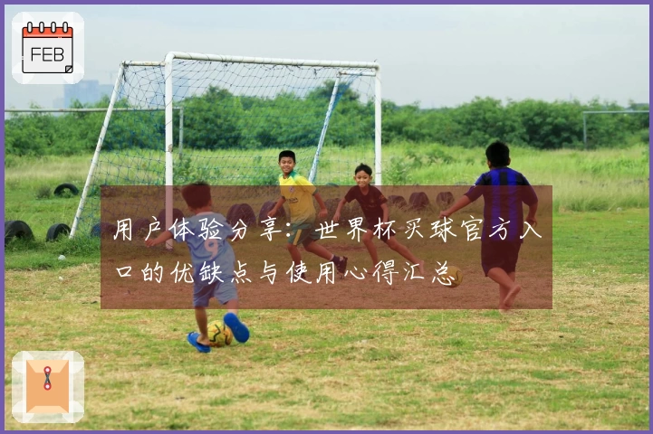 用户体验分享:世界杯买球官方入口的优缺点与使用心得汇总