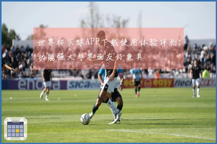 世界杯买球APP下载使用体验评测：功能强大与界面友好兼具