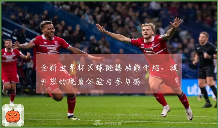 全新世界杯买球链接功能介绍，提升您的观看体验与参与感