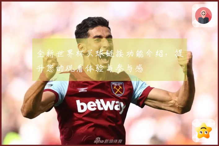 全新世界杯买球链接功能介绍，提升您的观看体验与参与感