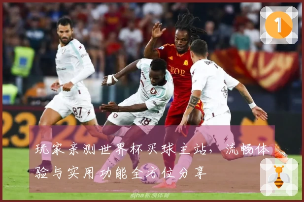 玩家亲测世界杯买球主站，流畅体验与实用功能全方位分享