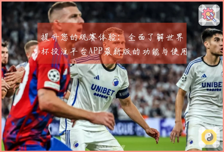 提升您的观赛体验：全面了解世界杯投注平台APP最新版的功能与使用指南